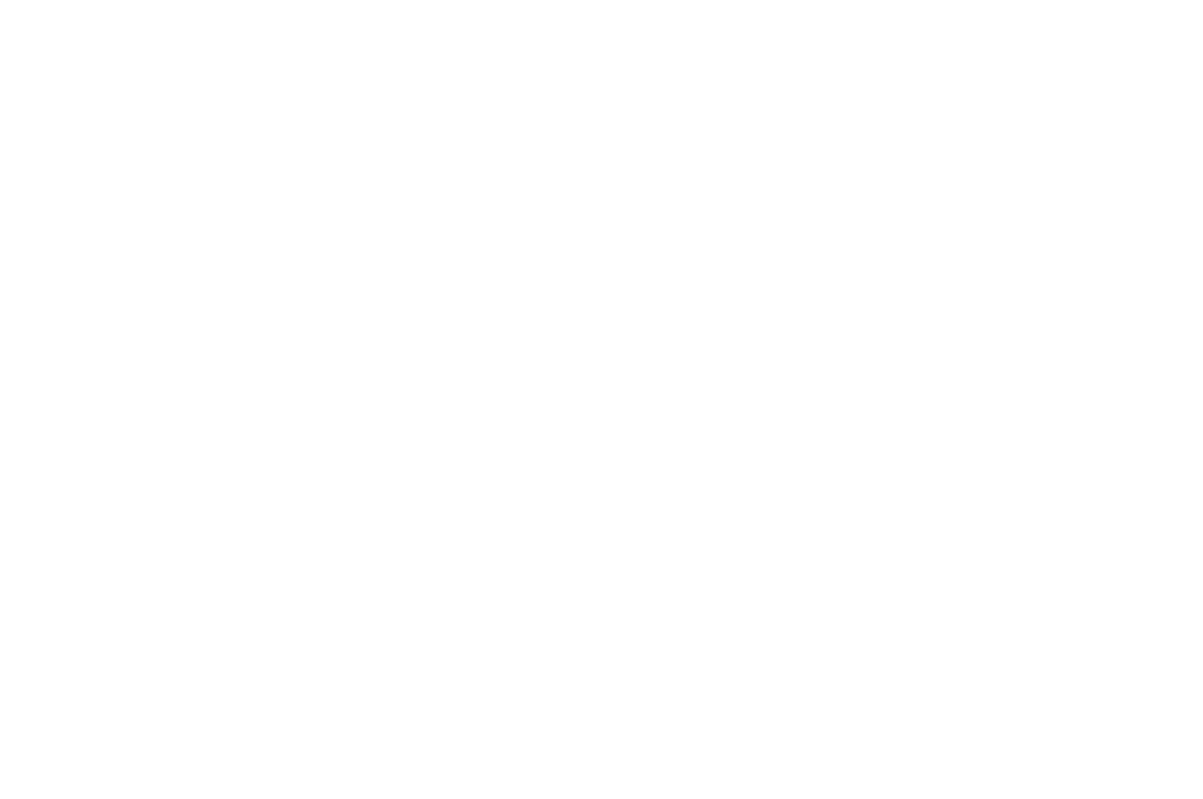 OFFICIAL SELECTION - Asia Film Festival - 2024
