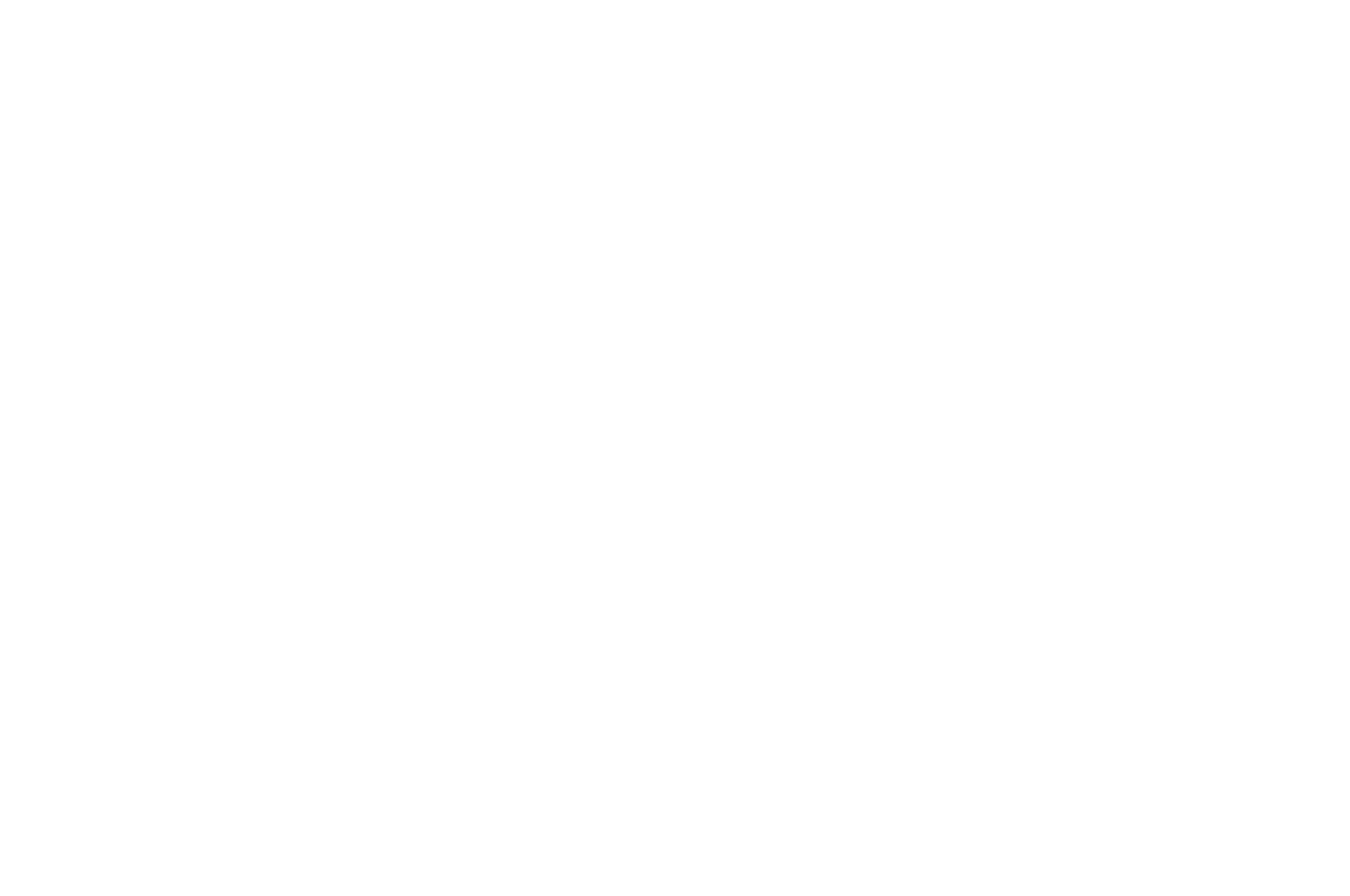 OFFICIAL SELECTION - Lisbon Screenplay Awards - 2024