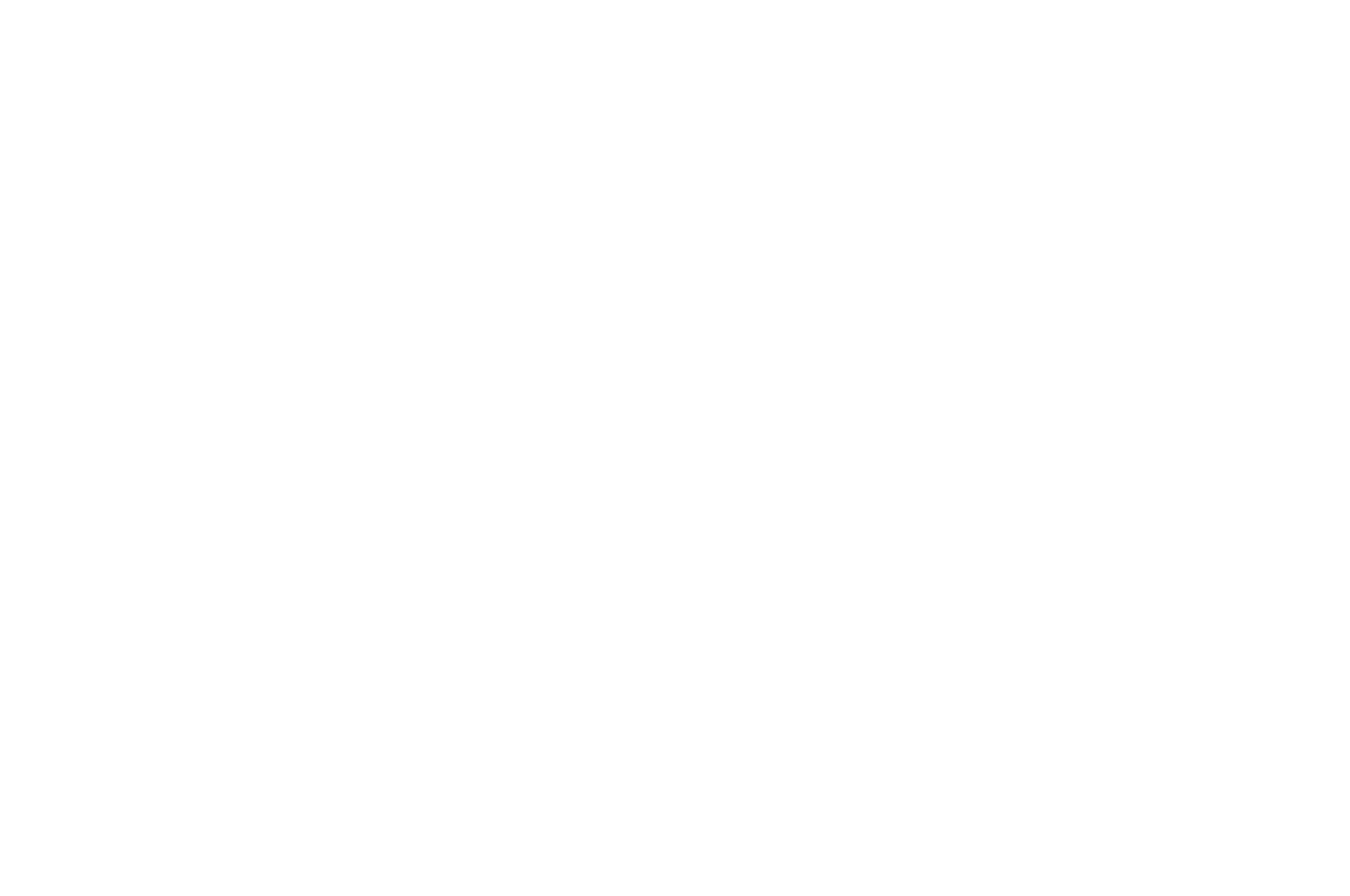 OFFICIAL SELECTION - Mexico Film Festival Awards - 2024 (1)